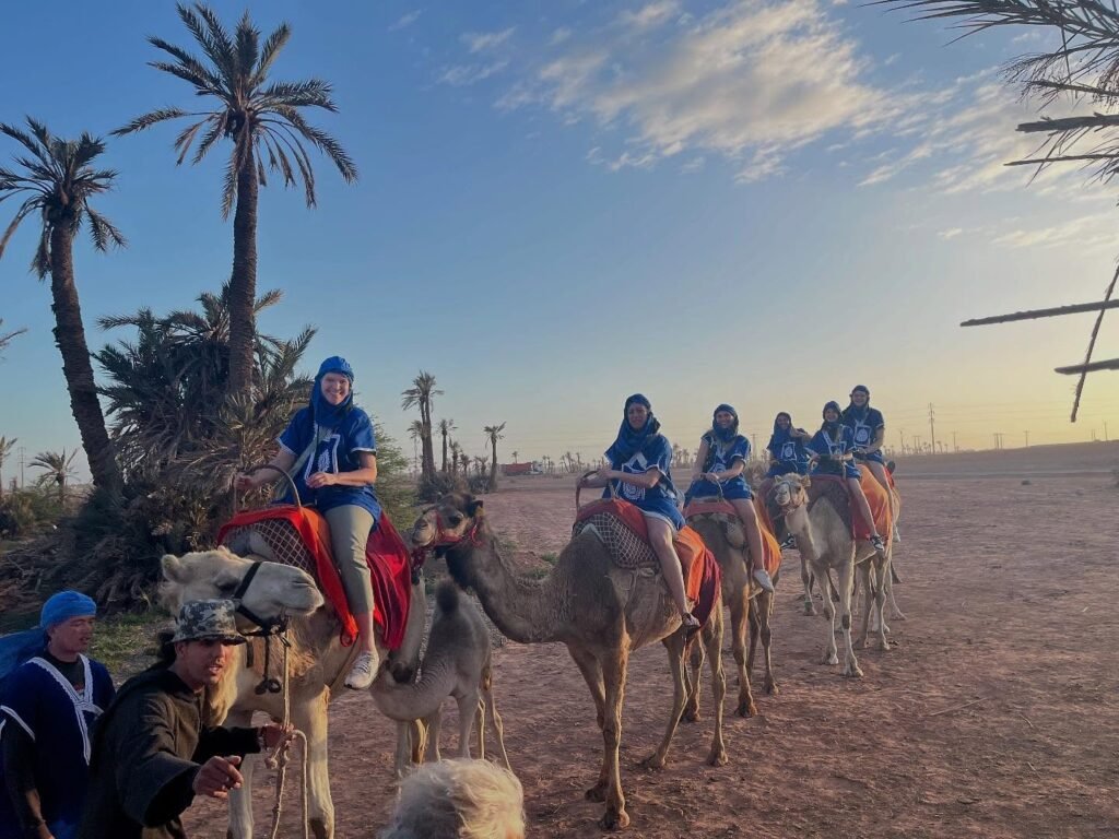 Méharée-Palmeraie-Balade-Dos-Dromadaire-Portes-Marrakech